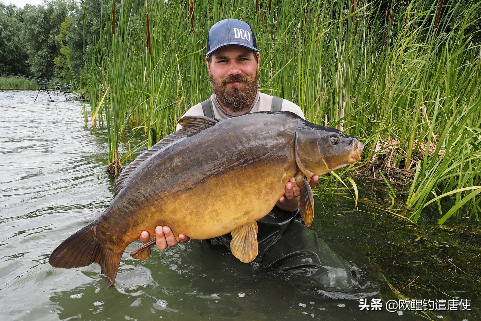 歪头钩钓鱼技巧,钓白条用钩技巧