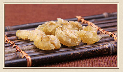 特产谱之动物人参：位列上八珍，称软黄金，在冰雪下冬眠五六个月