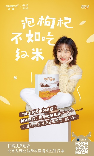 龙湖龙民节凝聚龙民心,龙湖龙民节公益