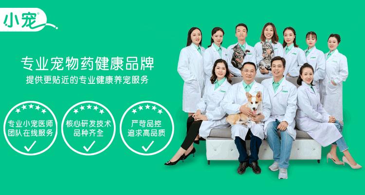 冬天狗狗感冒了吃什么药,狗狗冬天预防感冒最好的方法