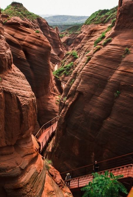 秋天最值得去的四个地方,秋天全部的风景