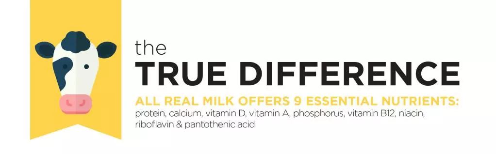 澳洲奶粉造假事件,澳洲牛奶骗局