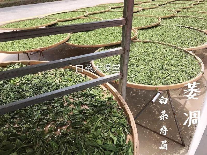 白茶是什么？咱们坐下来，好好聊一聊