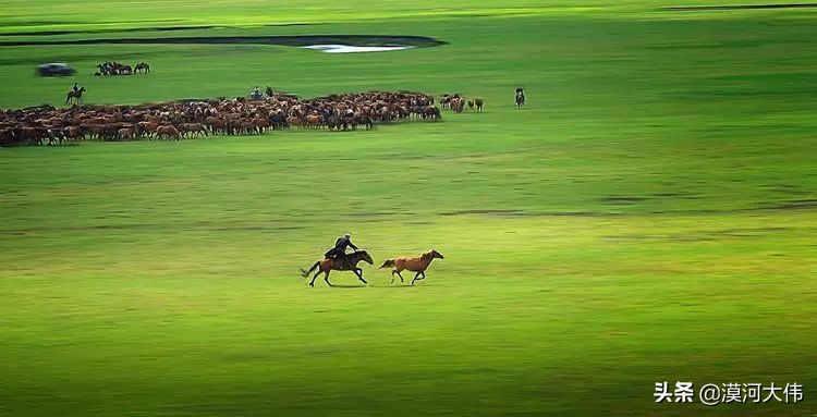 森林草原自驾游,森林亲子旅游攻略图片大全