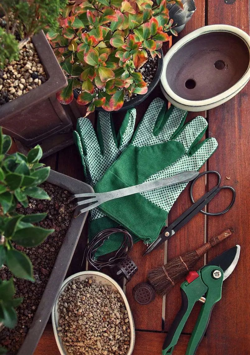 你还知道哪些植物过冬的方法,做好充足准备的好处