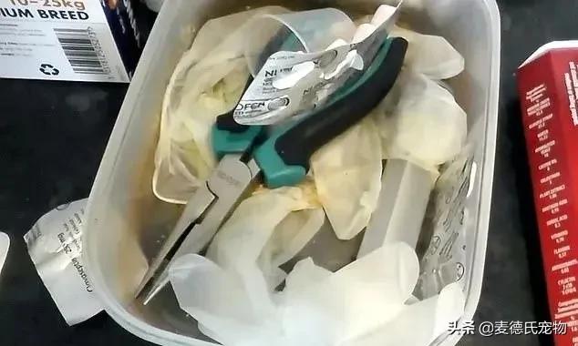 如何让狗子变得更听话,怎么让狗子越来越听话