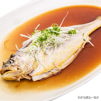 浙江舟山普陀区美食推荐,舟山普陀山美食推荐攻略