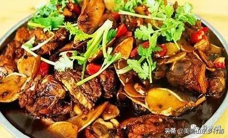 没有一只鸡能活着走出山东,没有一只鸡能活着离开