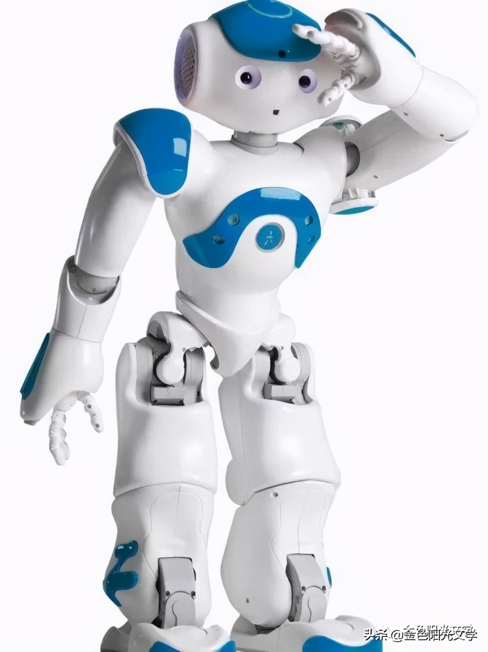 《小爱同学》《独角兽》《吸铁石》《美伊公主》