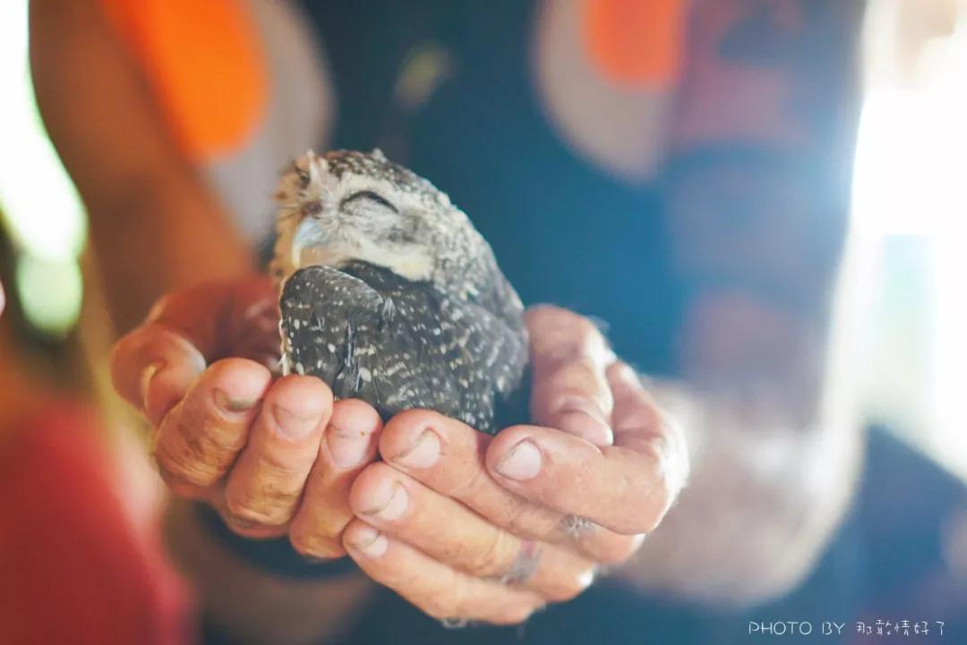 美国艺术家老夫妇定居苏梅岛十年，教游客画垃圾桶，唤醒环保意识