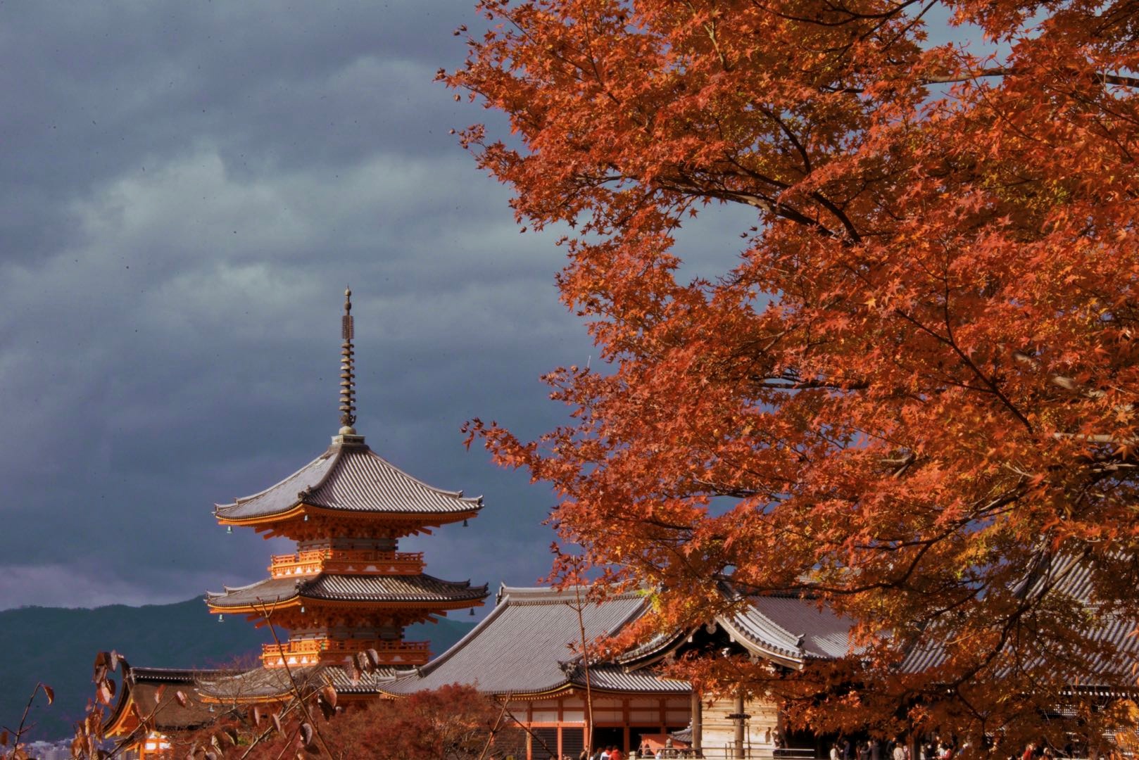 日常edc必备物品,各位的edc日常携带都有些什么