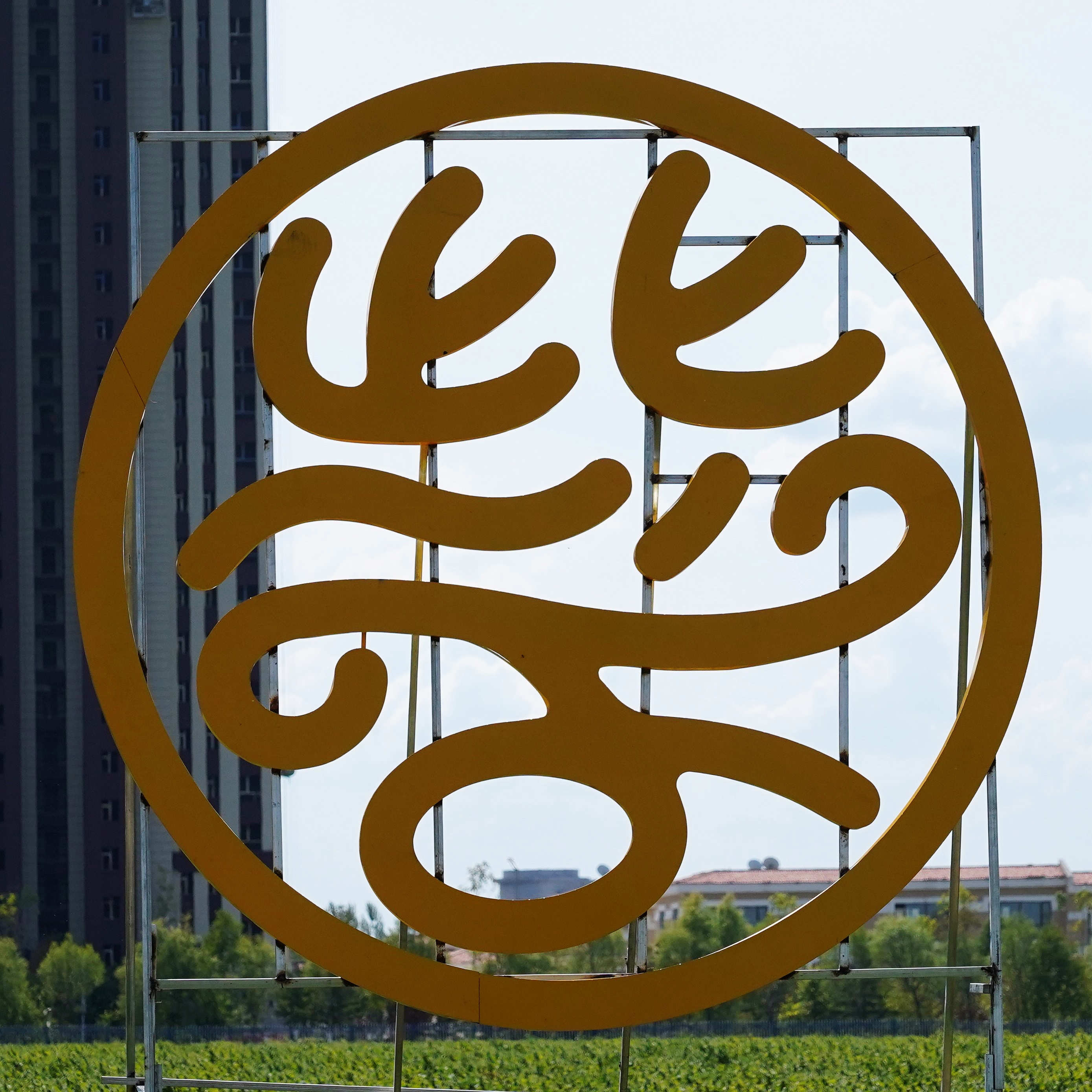 桦南紫苏种植基地在哪里,华南紫苏之乡