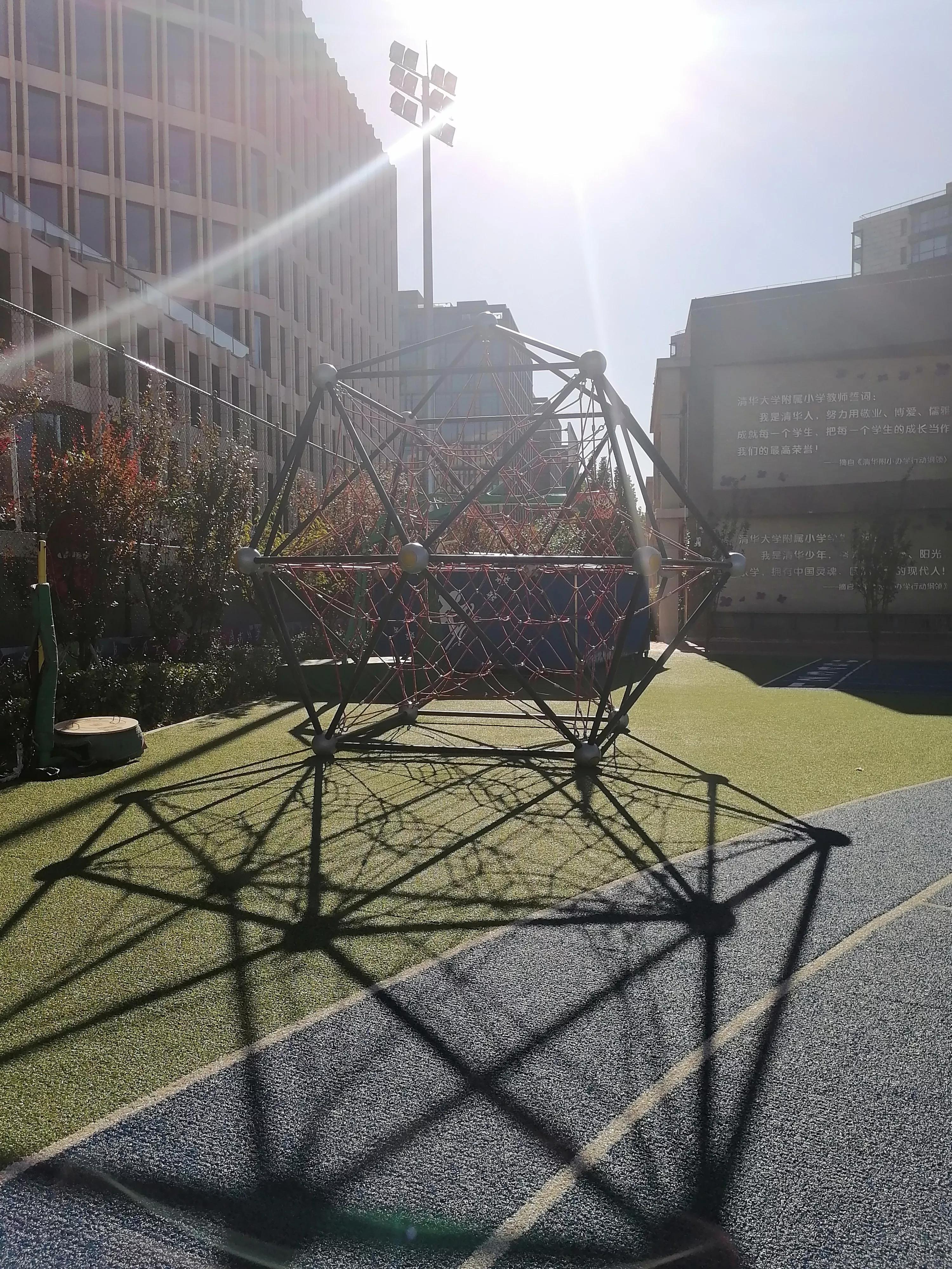 体育运动的价值和意义,体育运动的价值取向