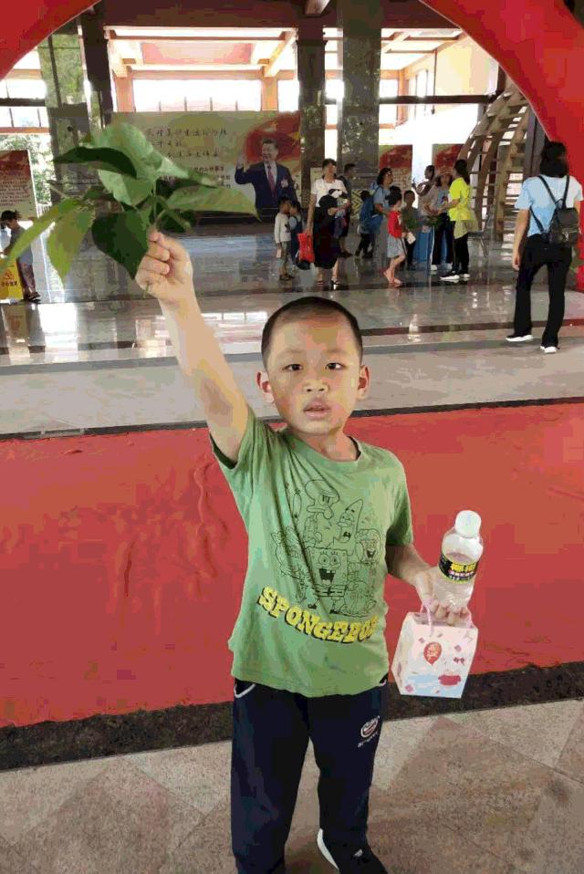 金秋多彩季，春晖幼儿园雨林仙境一日游