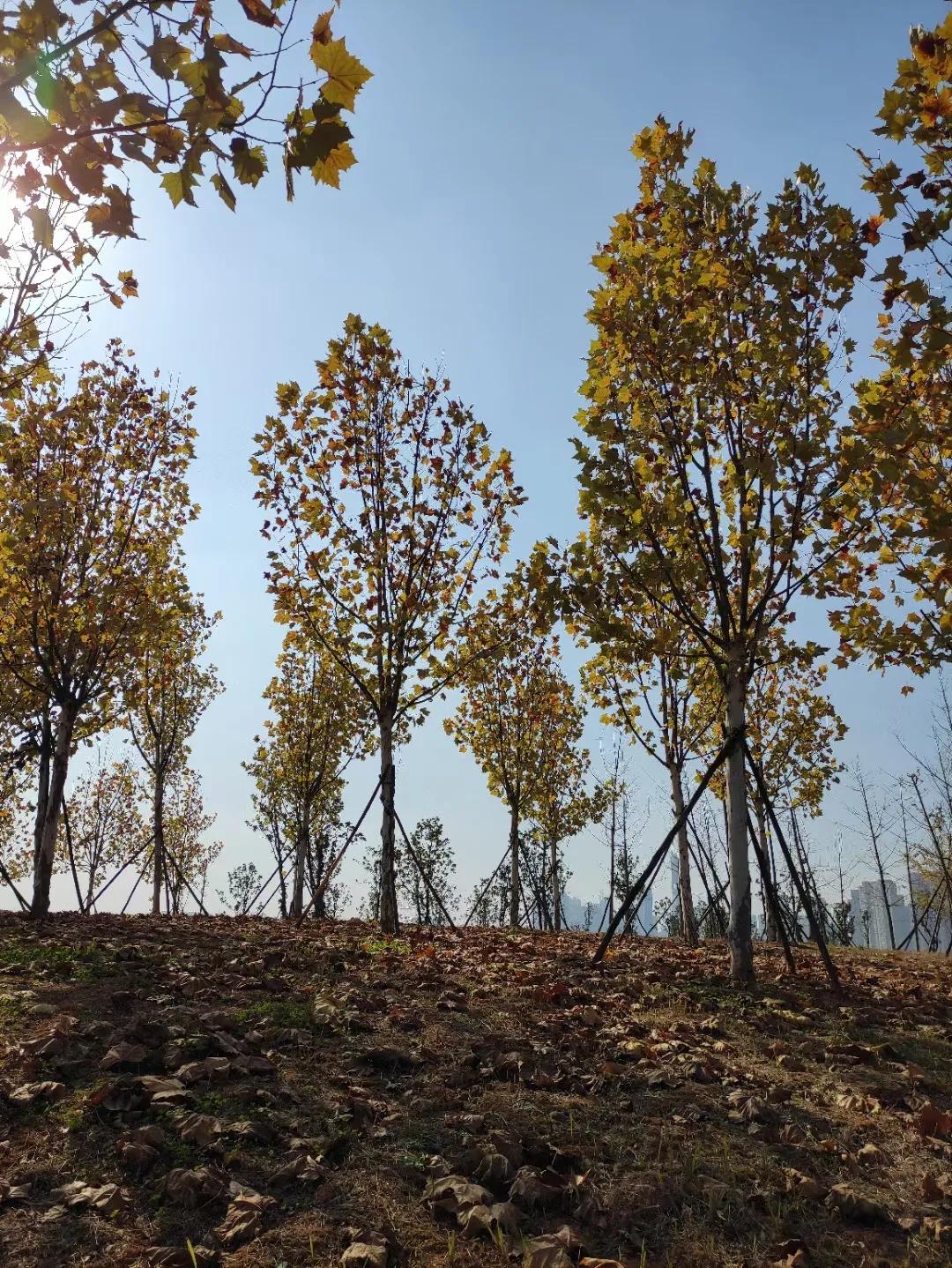 一定要带孩子去这几个城市走走,一生中一定要带孩子去的五个城市