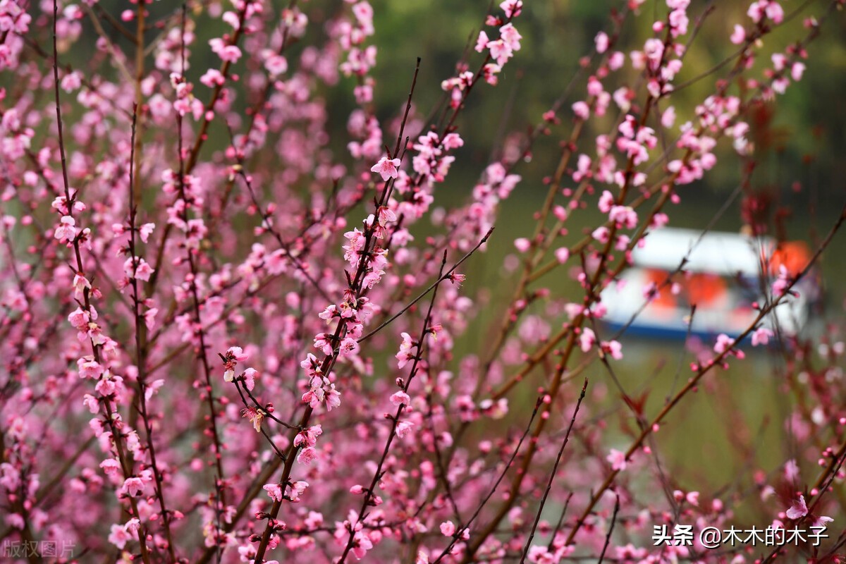 古风言情虐恋结局好,古风虐恋后续