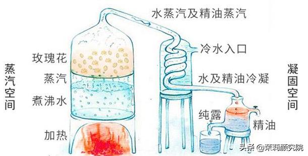 薰衣草纯露哪款最好,薰衣草纯露测评推荐图