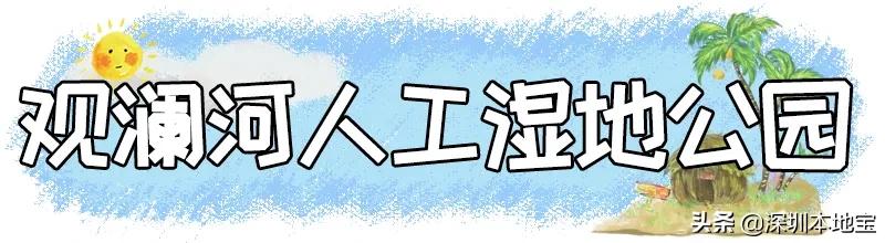 深圳免费的景点有哪些地方,深圳有哪些免费又好玩的地方景点