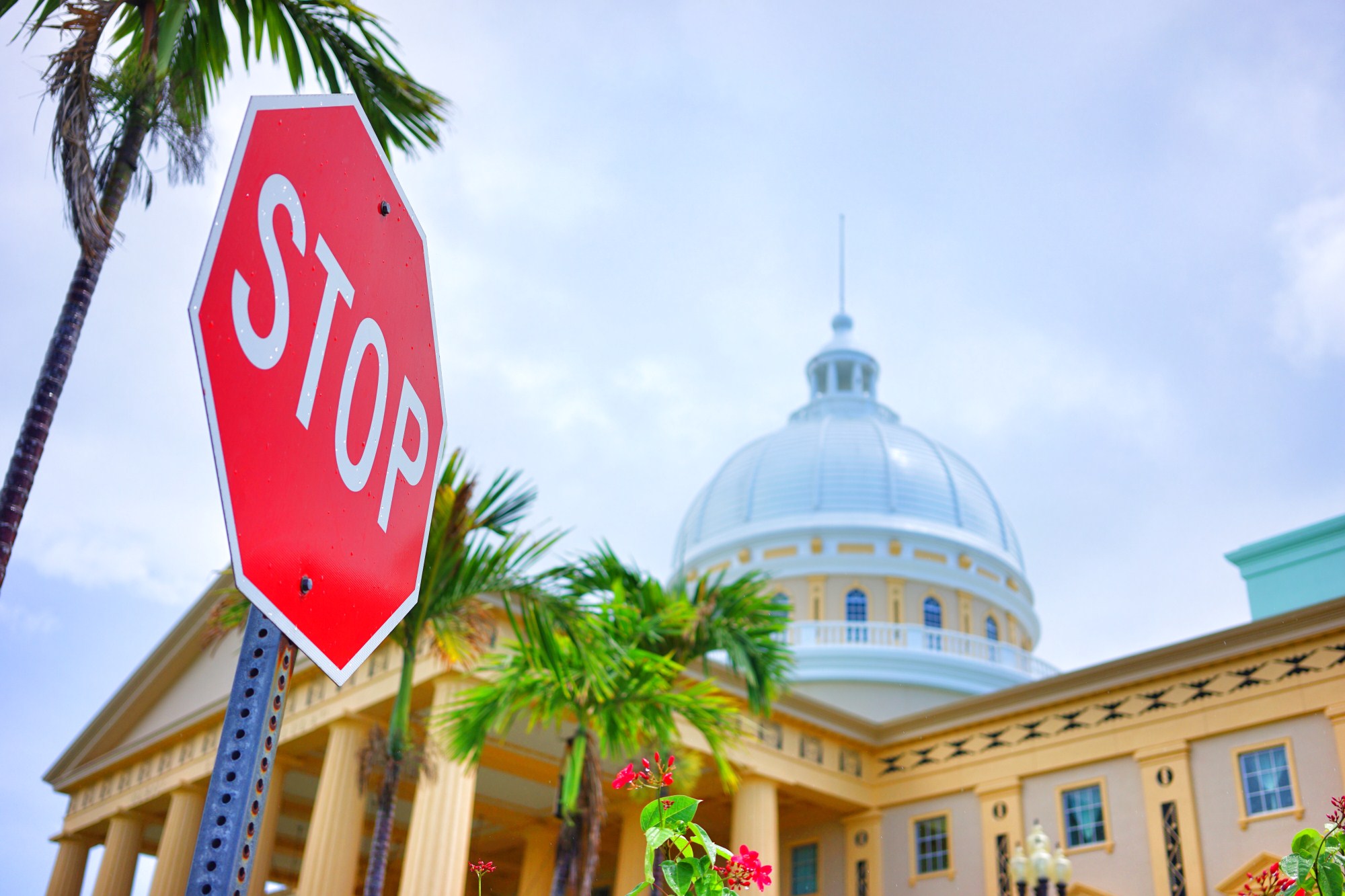 一定是特别的缘分——帕劳,再遇见「周若雪Patty」·上