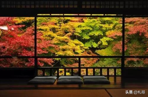 第一次去日本要去东京吗,第一次去日本要去北海道吗