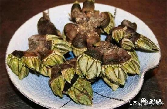 102种海鲜,营养丰富的海鲜有哪些品种