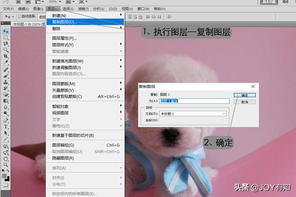 ps基础教程新手入门怎样复制图层,ps里面如何拷贝一个新图层
