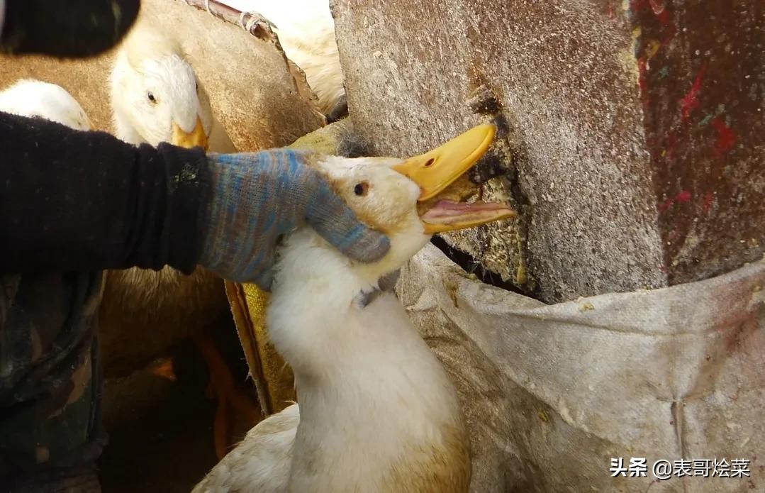 卖鸭子被罚40万新闻,农村卖鸭被罚40万