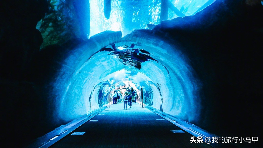 迪拜游玩一定要体验一次,迪拜必去十大景点旅游攻略