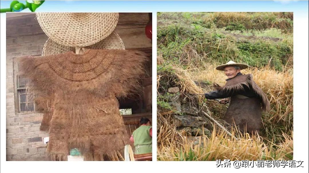 部编版五年级上册语文园地二图片,部编版五年级上册语文园地二笔记