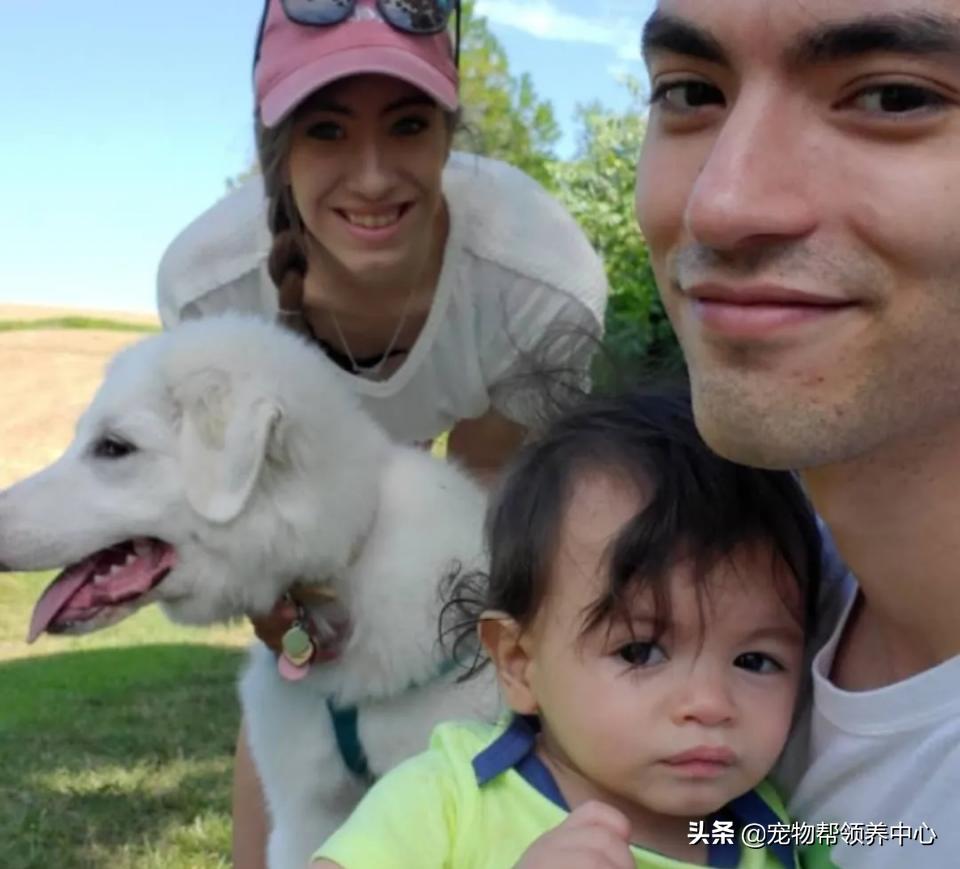 大白熊的奇怪行为,大白熊有多胆小