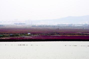 十一沿途风景,十一去红叶谷的景致