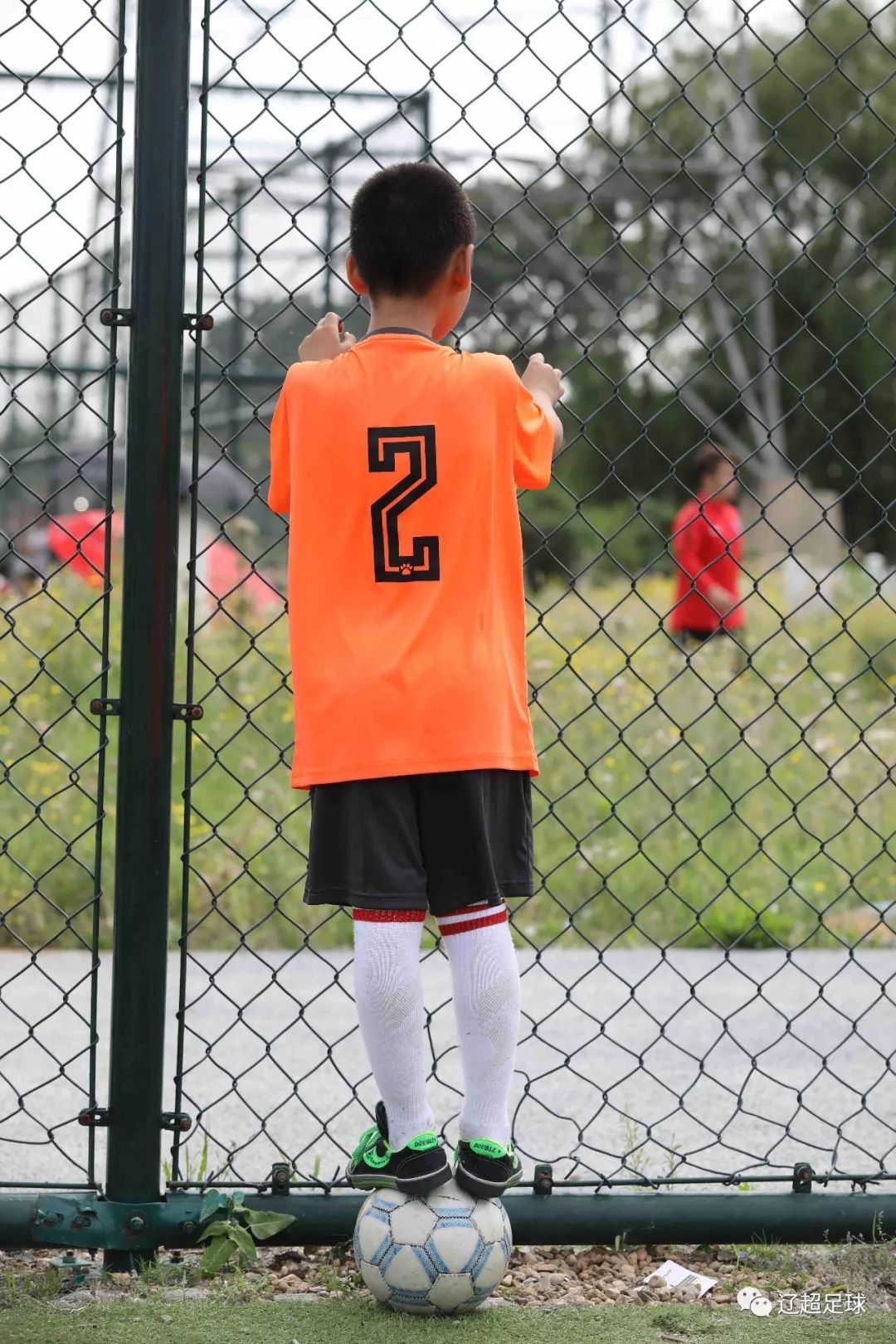 涓烘ⅵ鍚埅绡悆,涓烘ⅵ鍚埅2011