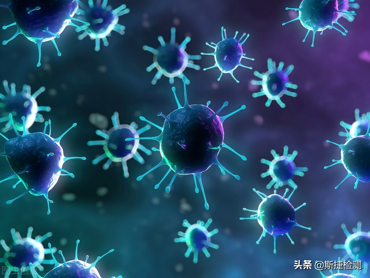 微生物检测报告第三方检测