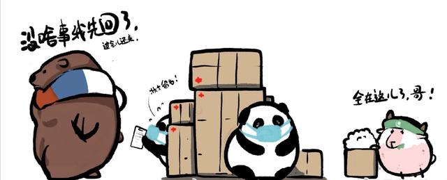 俄罗斯巴铁,硬核巴铁和俄罗斯