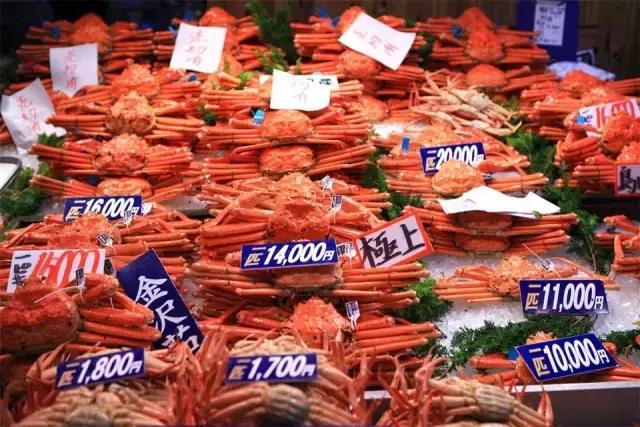 从名古屋到大阪新干线,去日本大阪东京名古屋