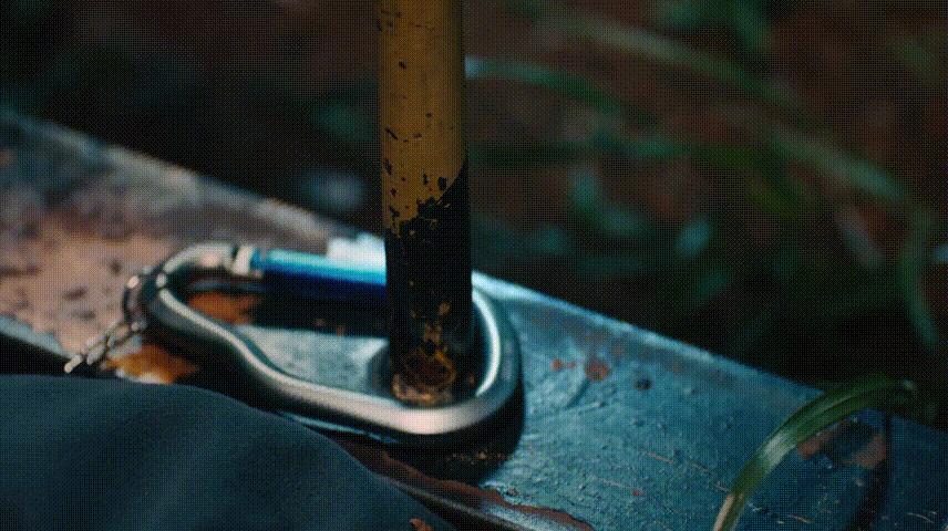 苗侨伟芒果台,4天2000万播放量