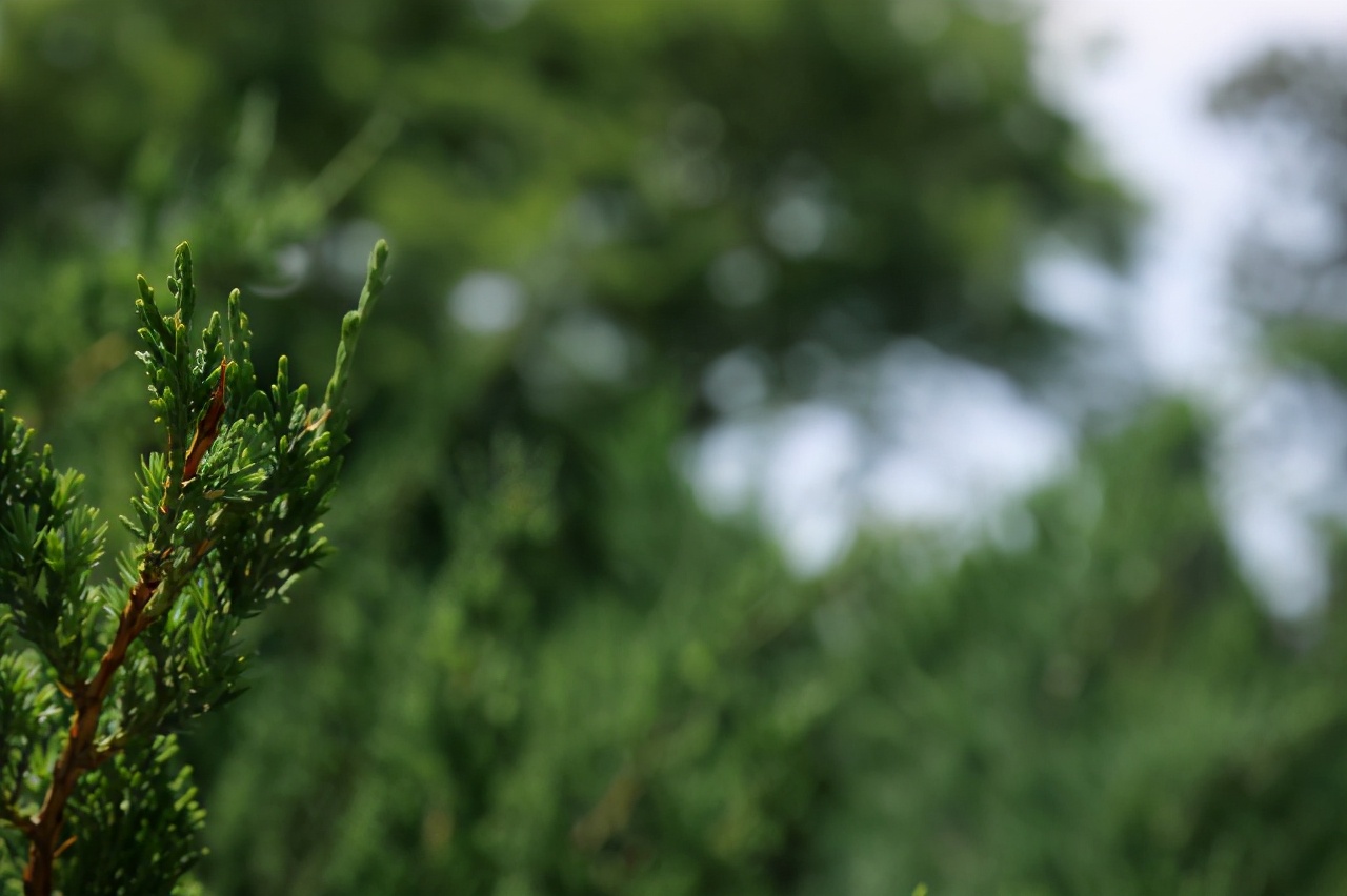 L鍗″彛闀跨劍闀滃ご,l鍗″彛70-300闀跨劍闀滃ご鎺ㄨ崘