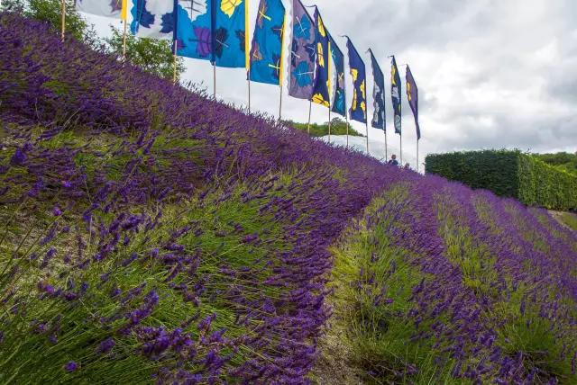 矿坑改造最美公园,矿坑改造湿地公园视频