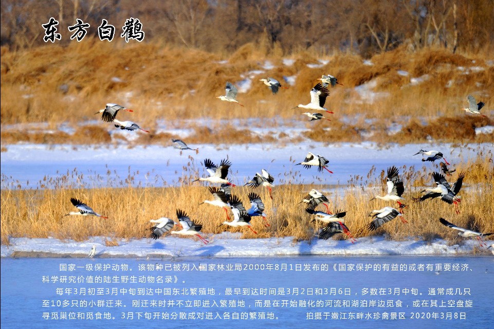 榻愰綈鍝堝皵瀚╂睙涓滄按鐝嶇鍏洯,榻愰綈鍝堝皵瀚╂睙涓滄按鐝嶇婀垮湴鍏洯