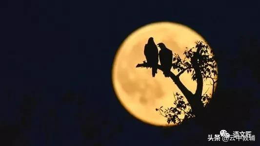 思乡和月亮的古诗共十首,小学古诗词1-6年级185首带注释