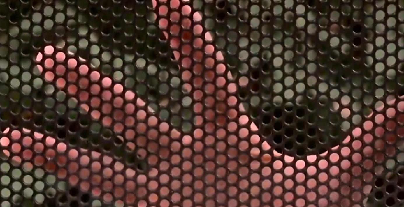 丧尸来了人类怎么防御,丧尸来了怎么对付的小技巧