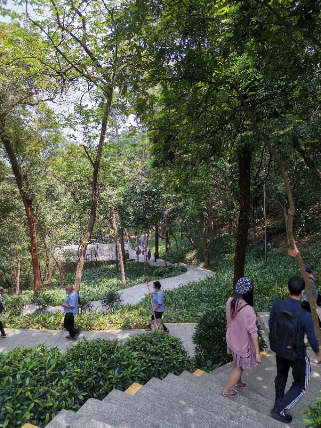 白云山云道起点和终点,白云山云道导览图