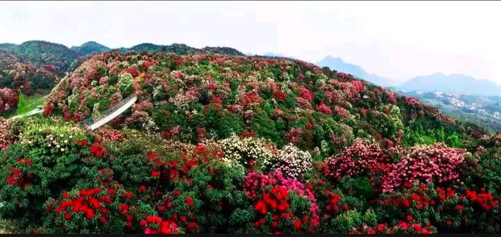 中国历史上的重大瘟疫简介,中国历史上发生的重大瘟疫事件