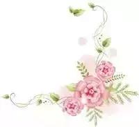 贝亲桃子水婴儿沐浴露二合一推荐,贝亲桃子水祛痱效果