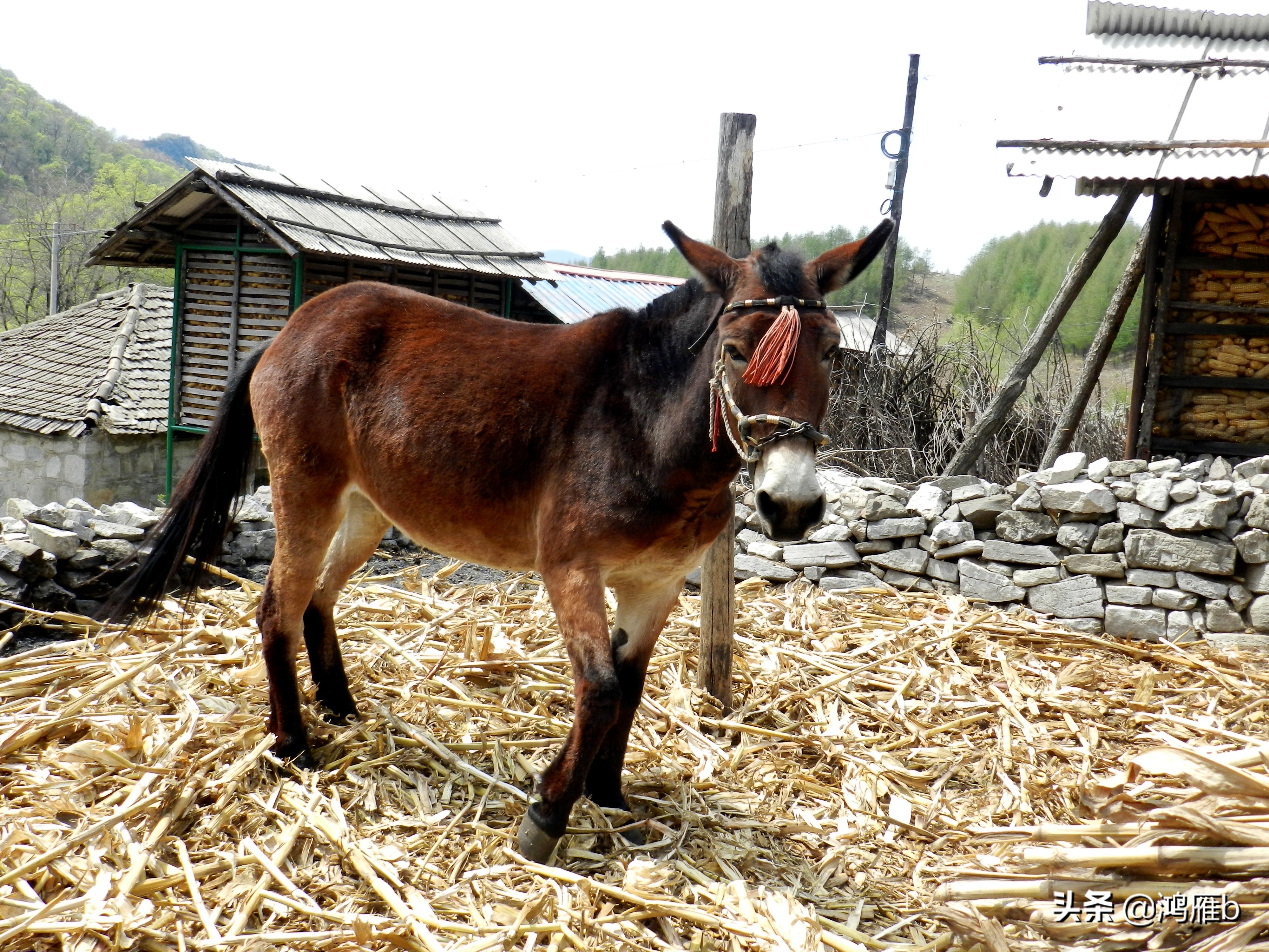 本溪小众秘境,本溪神秘山村