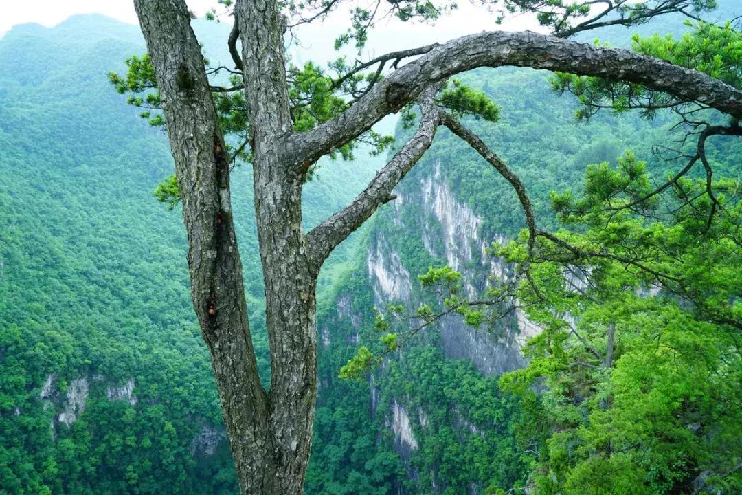 全国最宝藏的省,中国宝藏最多的省份