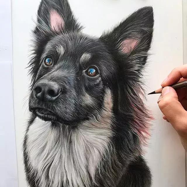 彩铅如何画得非常细腻,彩铅画的很好看零基础