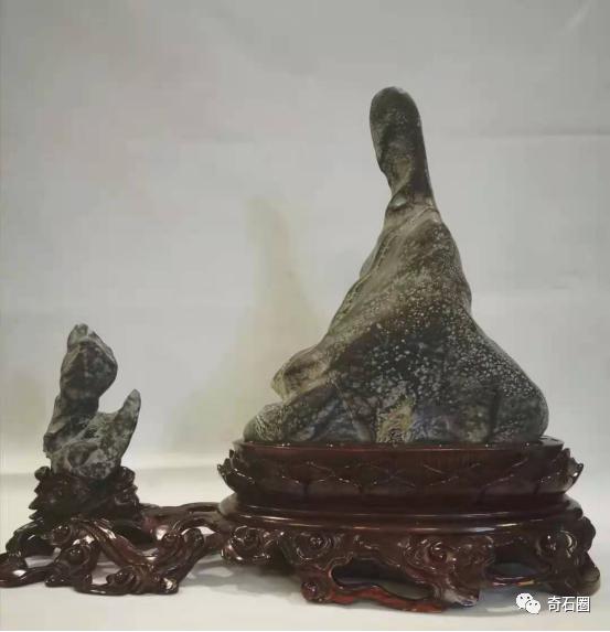 不瞒你说，这些石头你去了主人家里都未必能看到