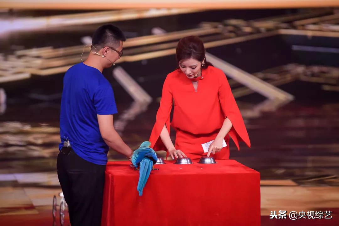 赵忠祥年轻岁月,赵忠祥汪涵朗诵