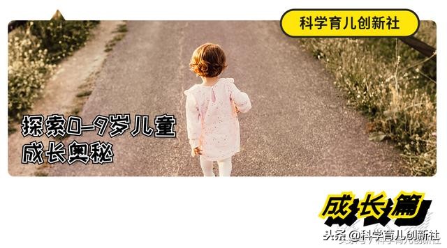 最强大脑和以往有了很大的不同,最强大脑对比不同之处